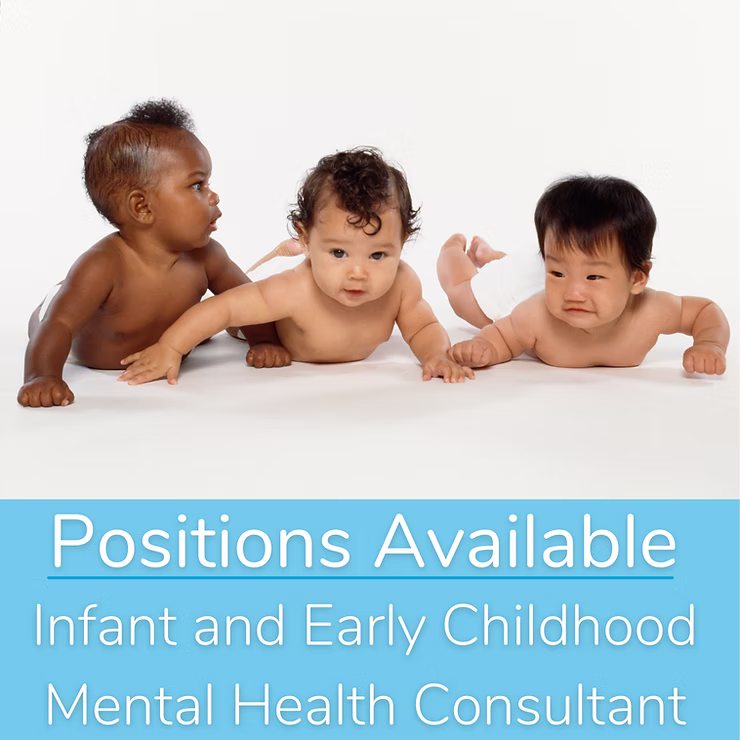 Positions Available: Mental Health Consultant
